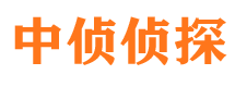 桂东市调查公司